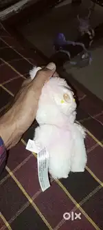 Toys labubu