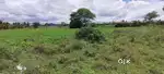 Agriculture land
