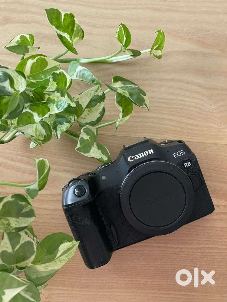 Canon Eos R8