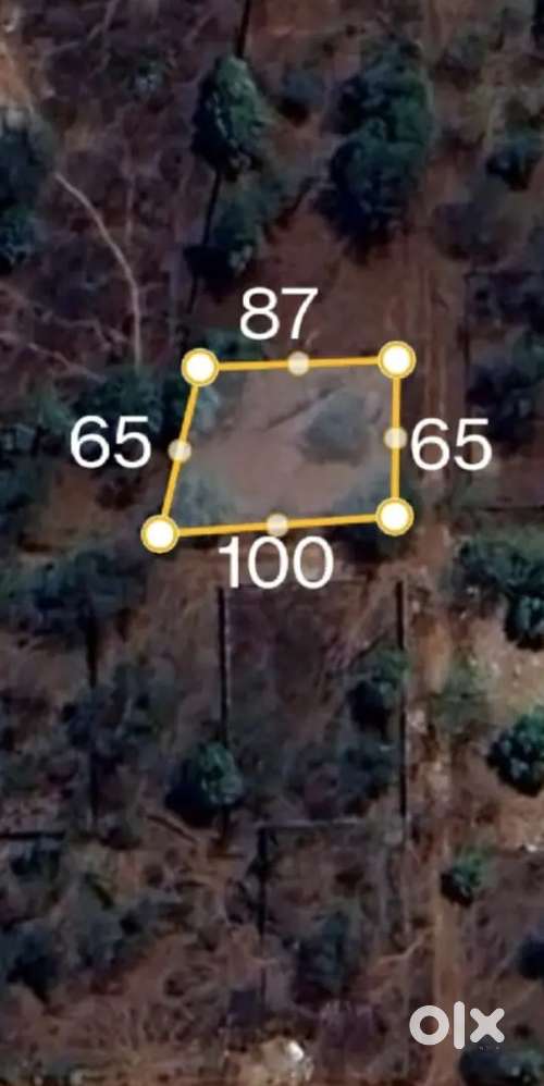 पवन कल्टीवेशन प्लाटिंग VIP कार्नर प्लाट रोड नियर एयरपोर्ट रायपुर