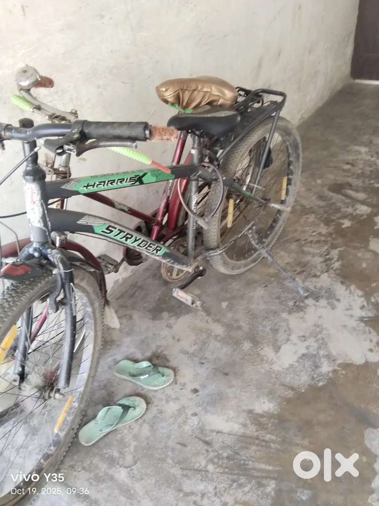 Cycle year is months