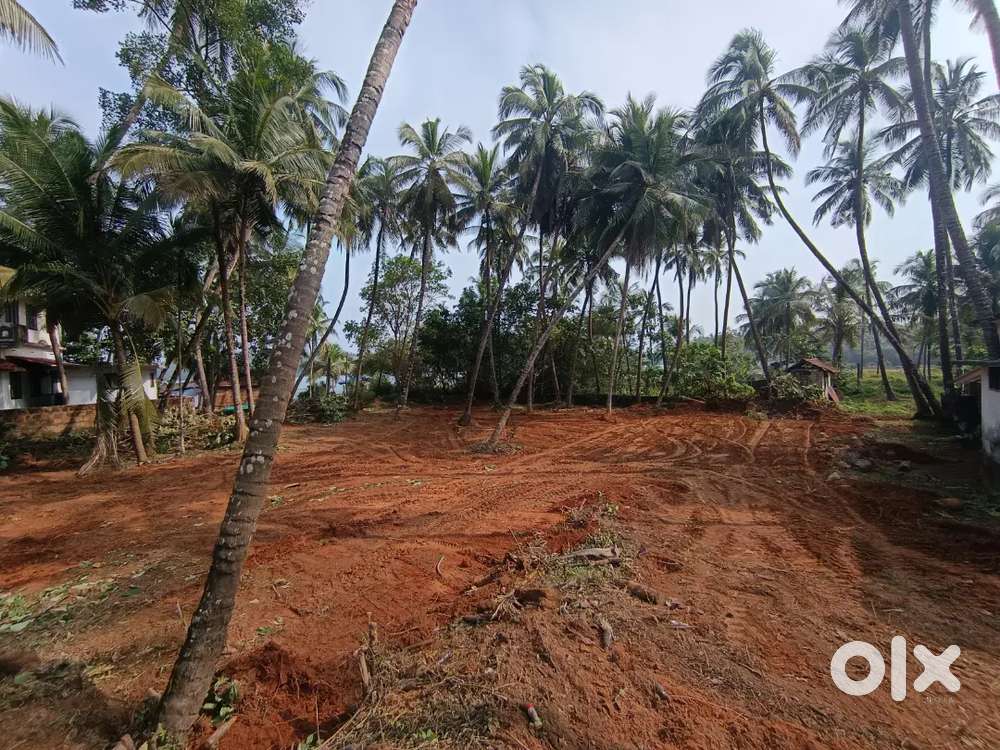 32 Cent Land for Sale.