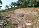 കോട്ടയം ജില്ലയിലെ തലയോലപ്പറമ്പ്(വരിക്കാകുന്നു) 13 സെന്റ് വില്പനക്ക്.