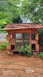 പുതിയ കോഴിക്കൂട്