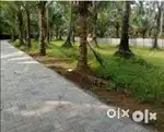 5 cent plot Pattikad Trissur