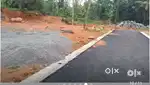 Angamaly,, Puliyanam 250000/ per cent plots