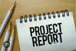 We need a person who can make a project report.