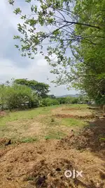 Plot for sale 3.25L per cent near Nss college Ottapalam