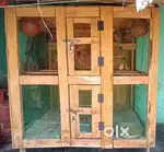 Birds wood cage