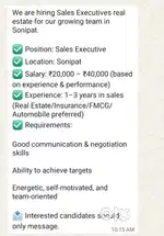 Sales Executives