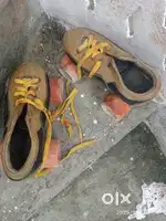 Sketing shoes