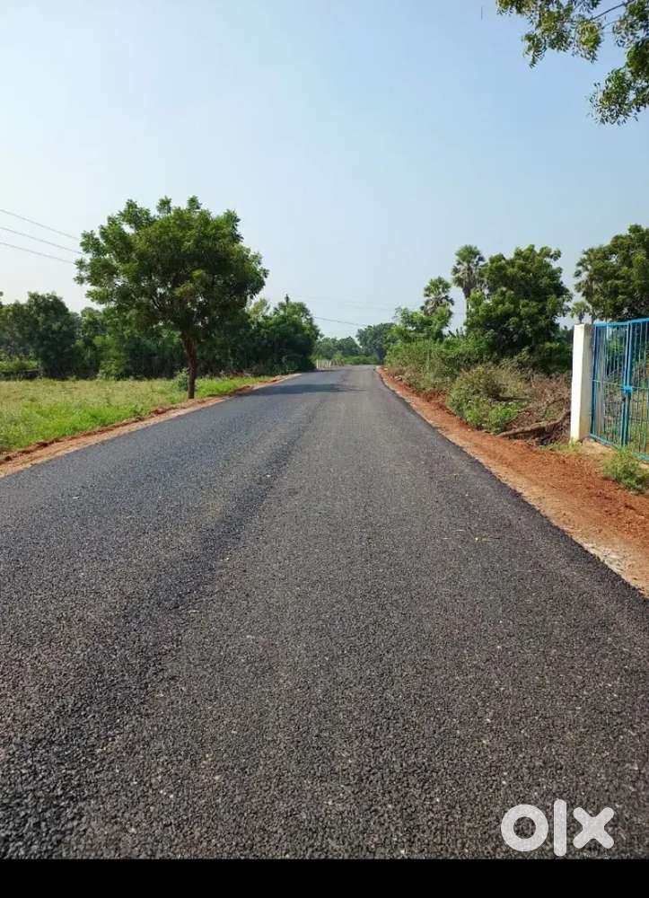 గుంటూరుtoఫిరంగిపురం సమీపంలో స్పాట్ రిజిస్ట్రేషన్ ప్లాట్స్ కలవు గజం5000