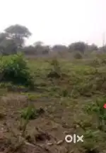 31 marle plot for sale Kuthera Developing area only 100meter from main