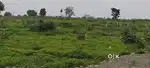 Urgent sell Plot