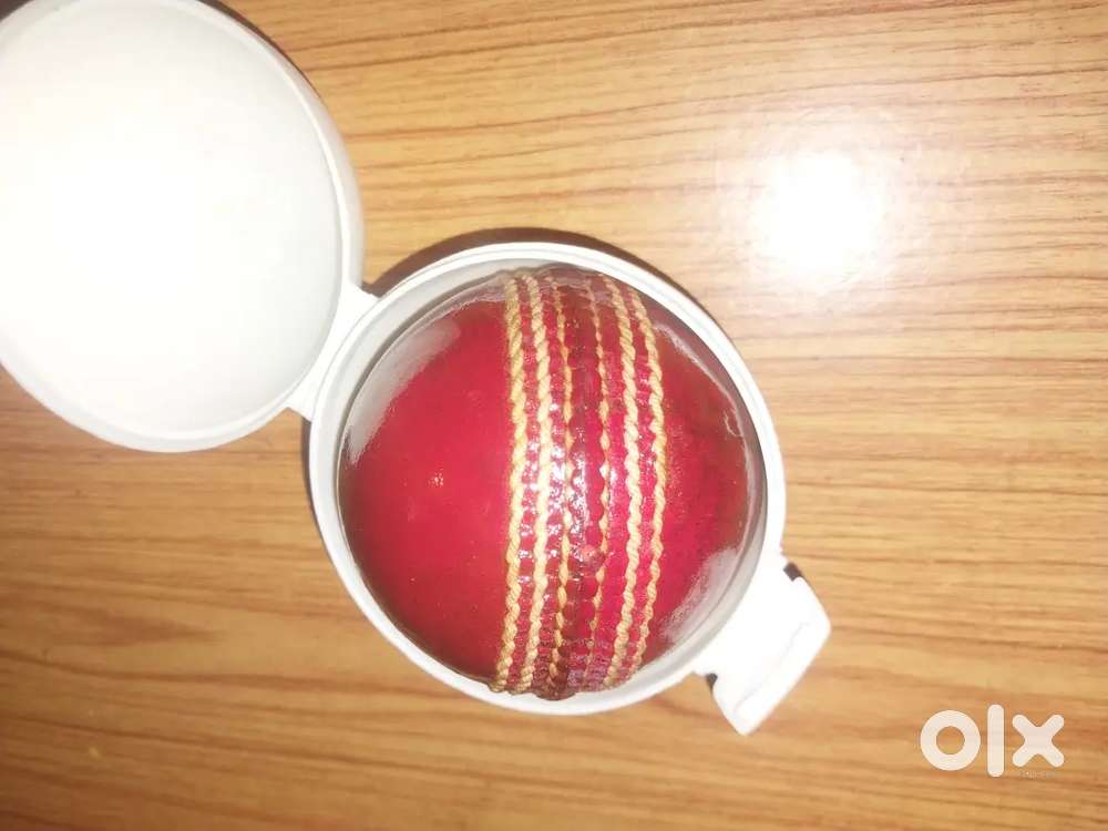 4 piece Leather ball.