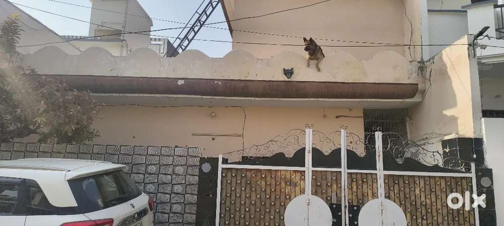 House in Dhawan Colony, Ferozepur City, Punjab