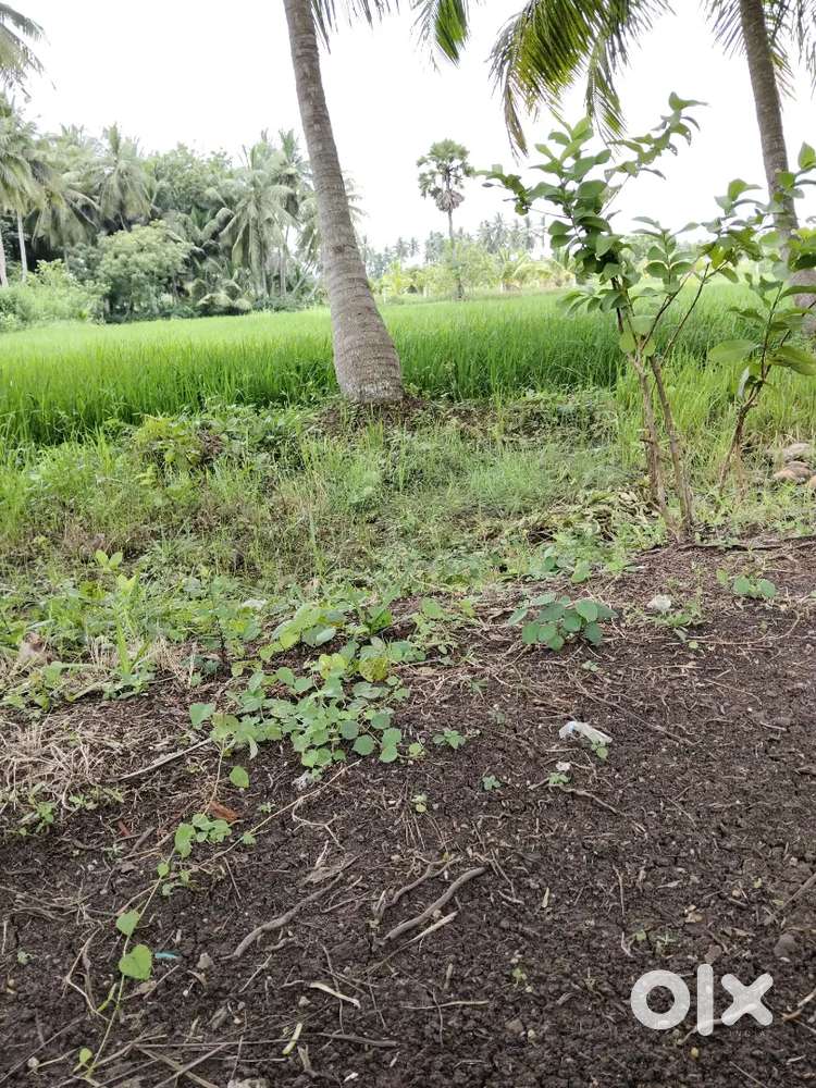 20 cents Agriculture land