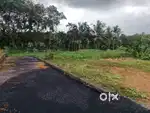 മുളന്തുരുത്തി ടൗണിൽ ഗ്രാമീണാന്തരീക്ഷമുള്ള പാടത്തിന് സമീപം  പ്ലോട്ട്