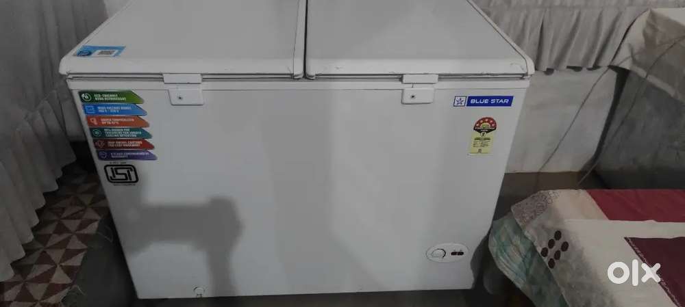 BlueStar Double Door 300L Deep Freezer