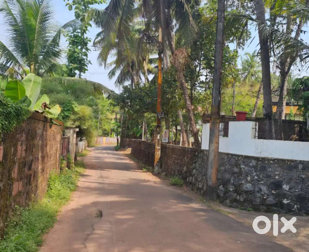 20 CENT PRIME HOUSE PLOT - SREEPURAM SCHOOL BUS STOP - KANNUR -8 LAKH