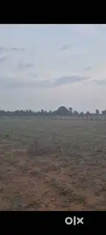 Farm Land for Sale in Madure Hobli, Doddaballapura Taluk!  - 1.36 acr