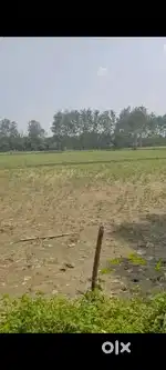 22 Bigha agricultural land available for sale in Dibai, Bulandshahr