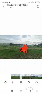 Open plot for lease or rent