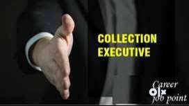 Field Collection Executive