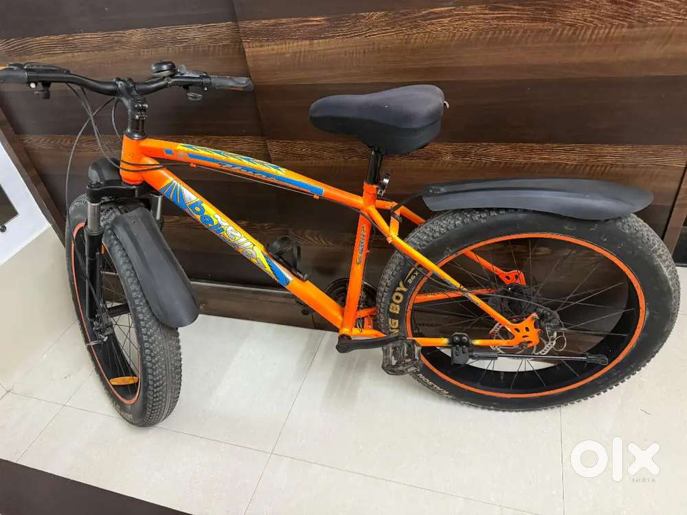 Fat bike cycle