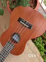 Kadence Ukulele
