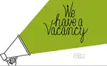 JOB FOR ALL FRESHER