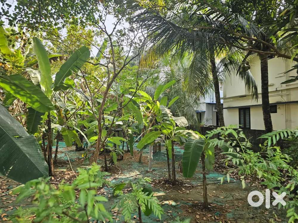10Cent Good House Plot For Sale In Medical Center Palarivattom