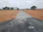 Dtcp approved plots sale in Sulur Near Zoho Corporation