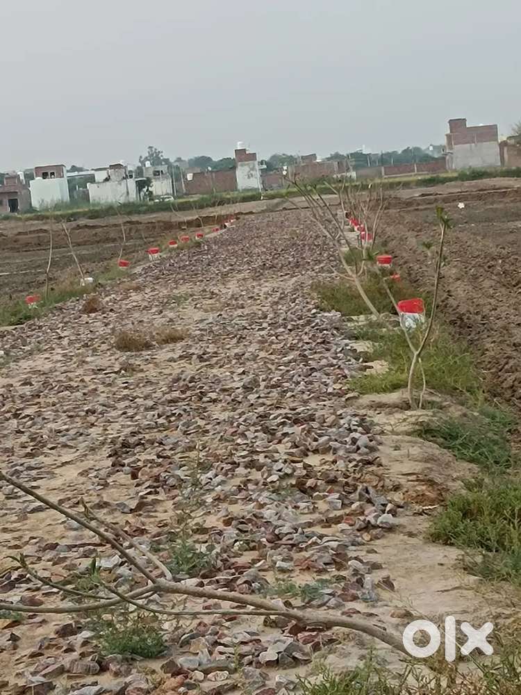 Best future and near by school market