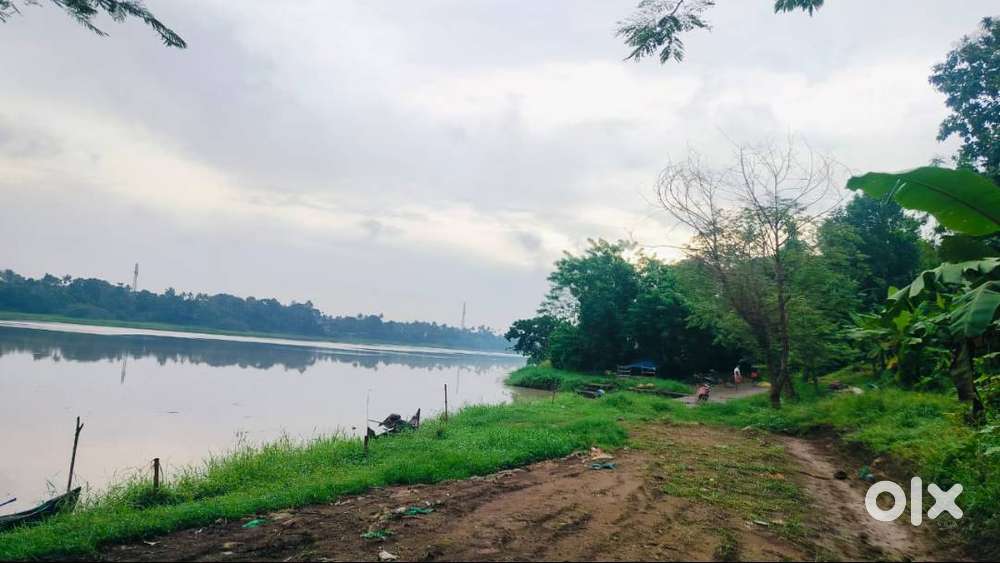 60 Cents of Land near Thiruvairanikulam.