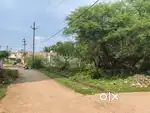 Plot For Sale in Hanuman Nagar Durg Sindhya Nagar ke pass