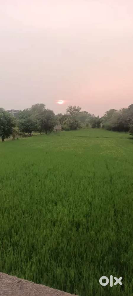 Maidani gas godam ke pass rewa