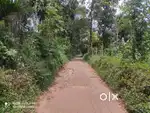 60 Cent Plot with Road Frontage in Kayyalamukku Kenichira Wayanad