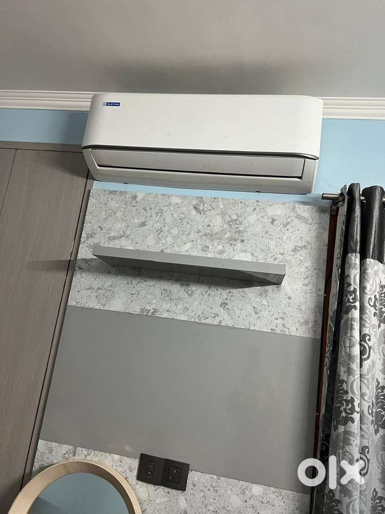 6 month bluestar ac with bill