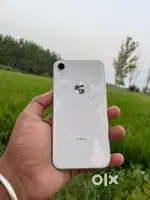 Iphone. XR