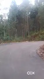 Eco Tourism