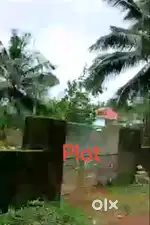 Adoor-Commercial/House Plot
