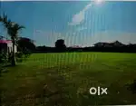 Plot for sale in nanakhedi, near dwarka express way Sobha city k pass