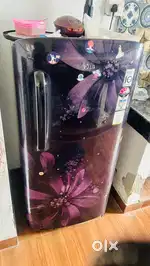 LG fridge with smart inverter