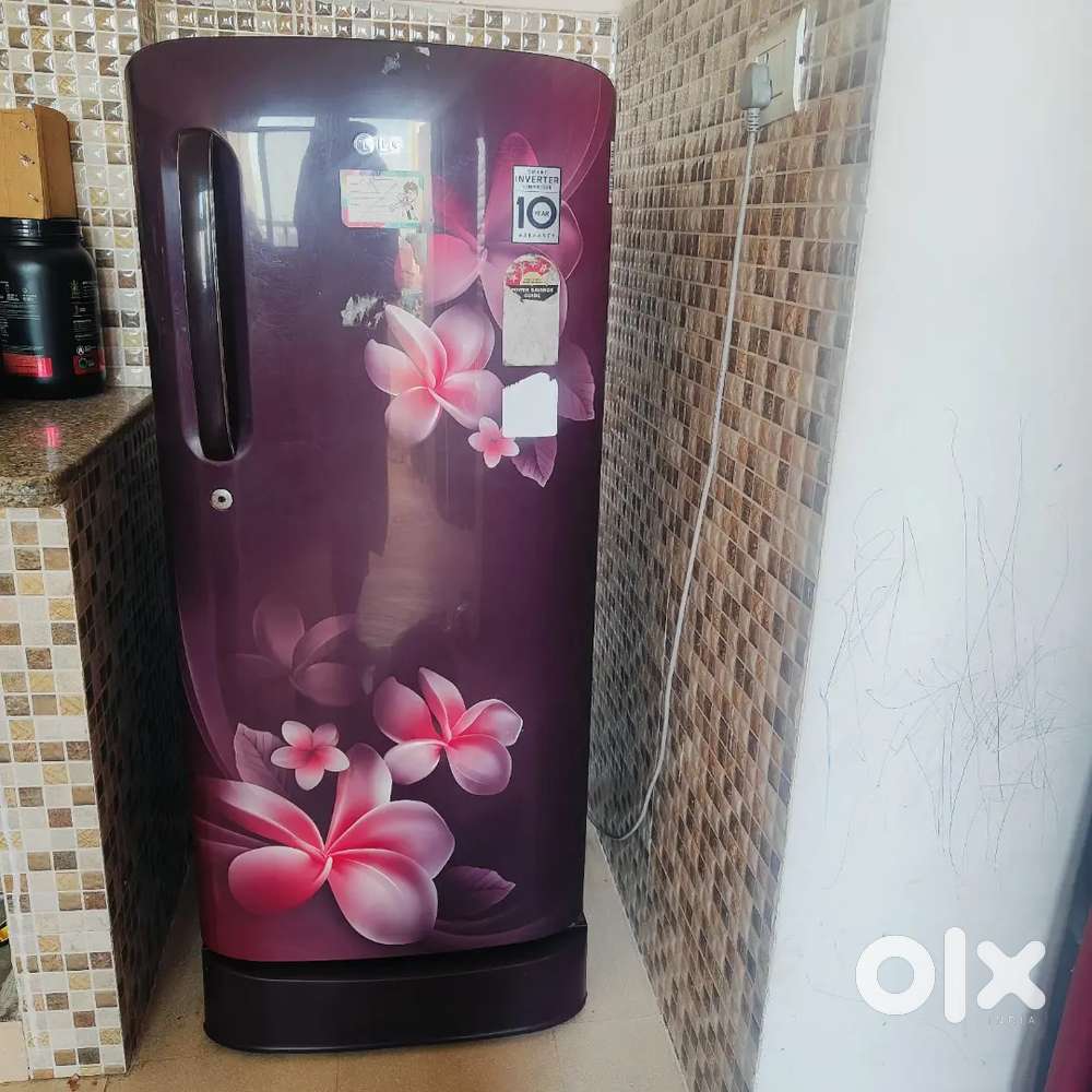 LG Single Door Refrigerator 190L