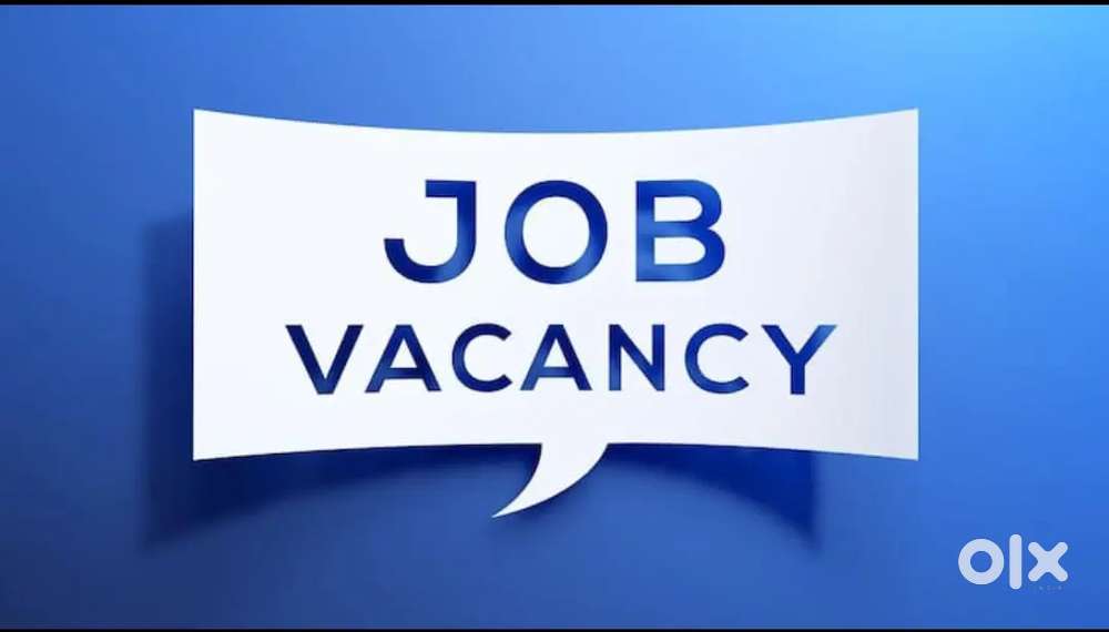 Team leader, Students counsellor, Offic Assistant.