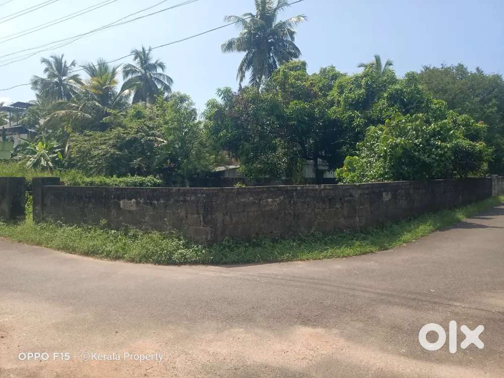 Residential land 8 cent Nellikunnu Thrissur