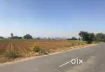 1 bigha 1 bisua for sale