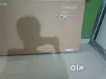 One plus Y1 S 55 inch
