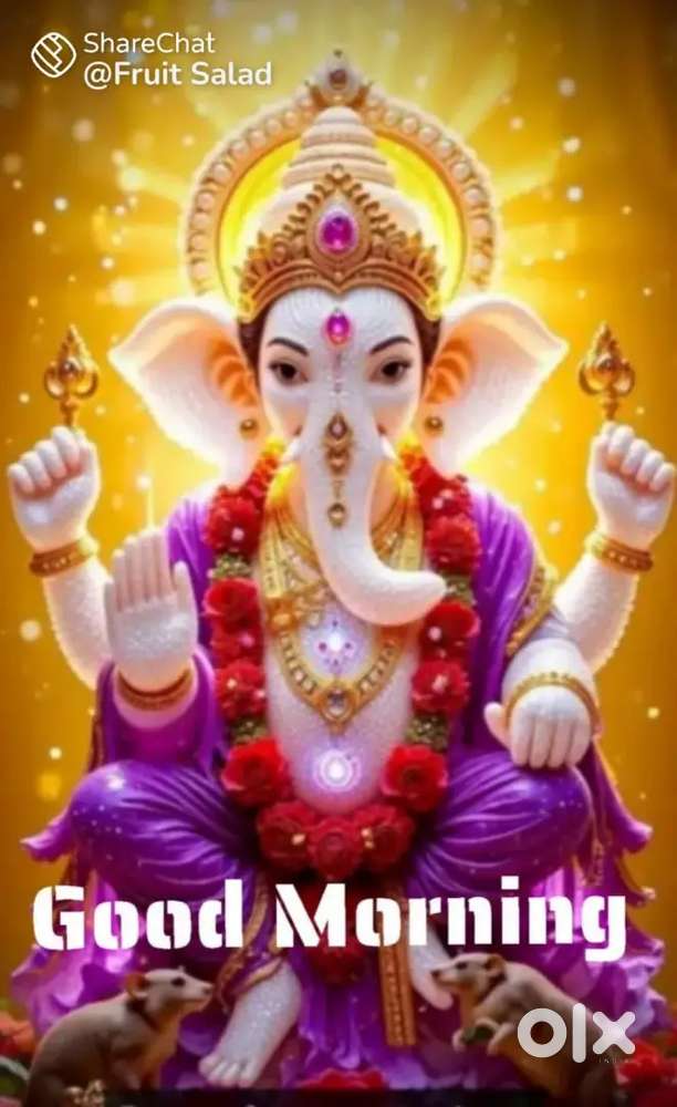 കടമുറികൾ വാടകക്ക് Rs 2500 to 9000